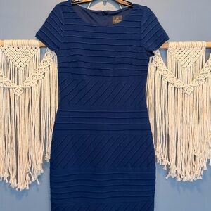 Adrianna Papell Striped Blue Midi Dress